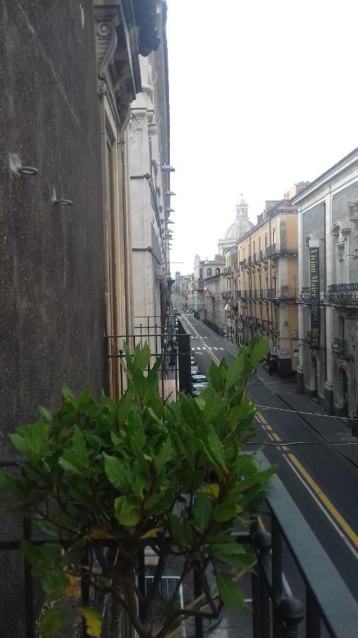 Deluxe Room Balcony,1118061411:JPEG